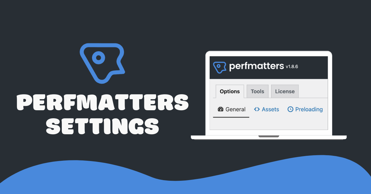 Perfect Perfmatters Settings & Script Manager Guide for 2026